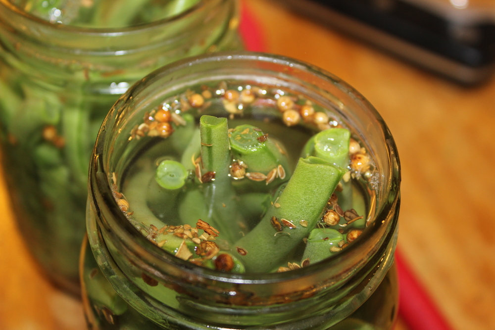 The Best Pickled Dilly Green Beans Recipe We Can Find Apron Strings Blog